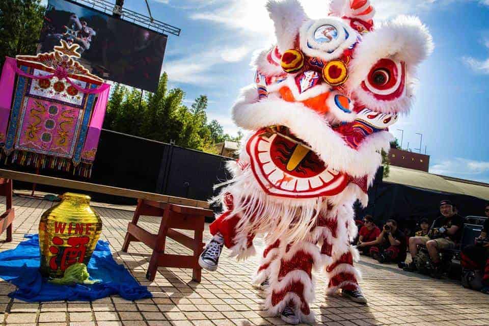 book a lion dance